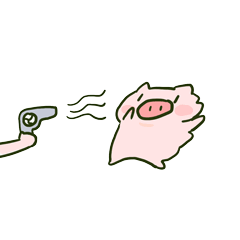 表情包福利,猪猪可爱动图表情包