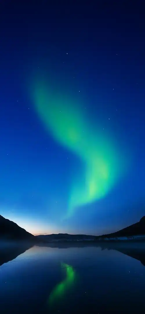 1080_2340竖版 竖屏