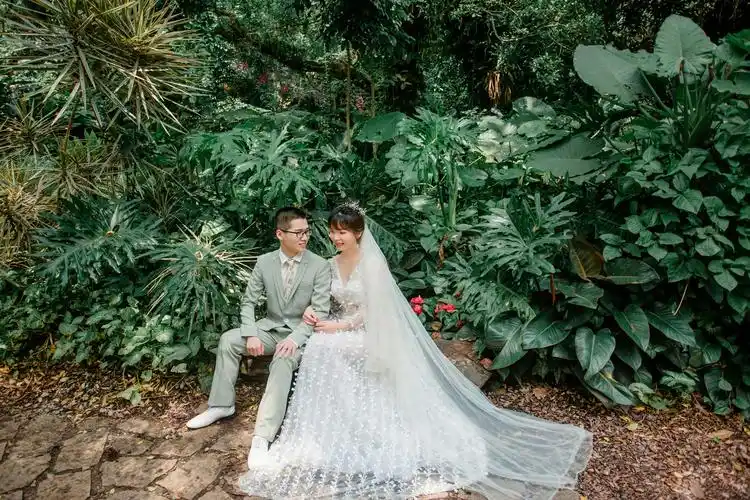 森林系婚纱照主题有一种独特的浪漫魔法.