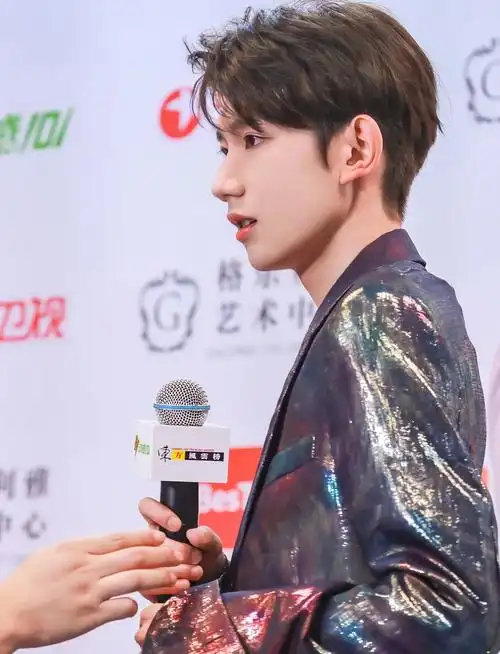 王源脸部塑形模版解析