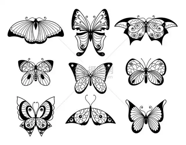 黑白蝴蝶翅膀上有美丽图案的矢量图