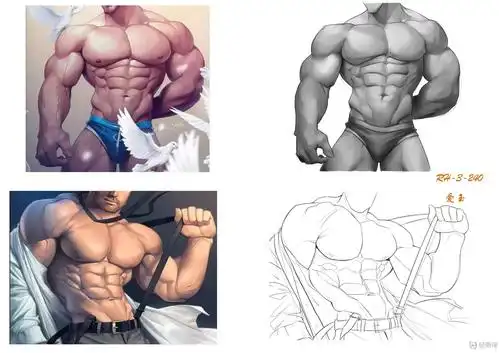 临摹男性肌肉—角色人物肌肉绘画训练