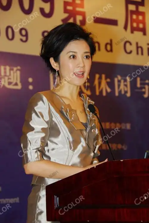 人物类许戈辉凤凰电视台著名主持人2009第二届中国休闲城市论坛