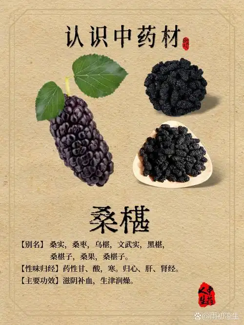 中药材—【桑椹】 【中药名】桑椹 【产地】主产于江苏,浙江,湖南