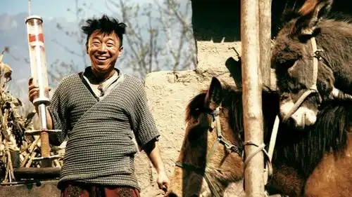 3000字解析黄渤的经典电影《斗牛》,你确定真的看懂了