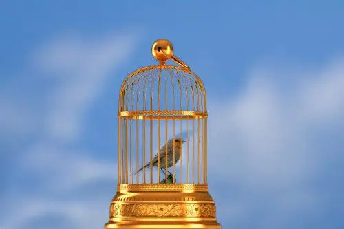 ps软件怎么把鸟放到笼子里?求详细过程!急要!