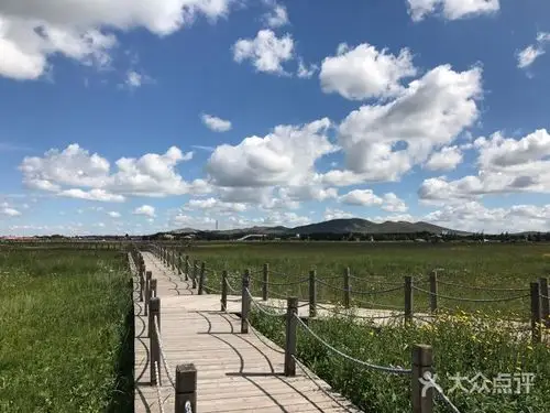 五花草甸-图片-沽源县周边游-大众点评网