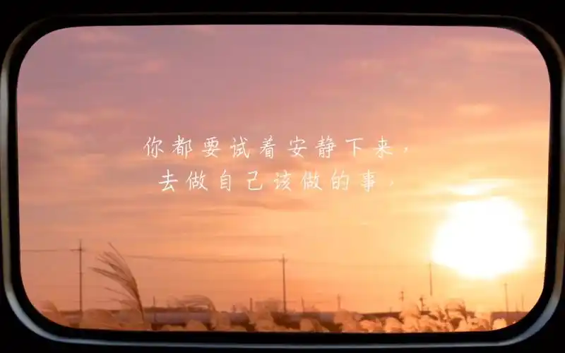 "无人问津也好,技不如人也罢,你都要试着安静下来,去做自己该做的事