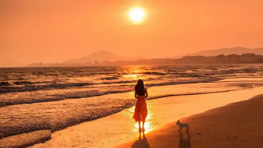 分享,感受同频力量