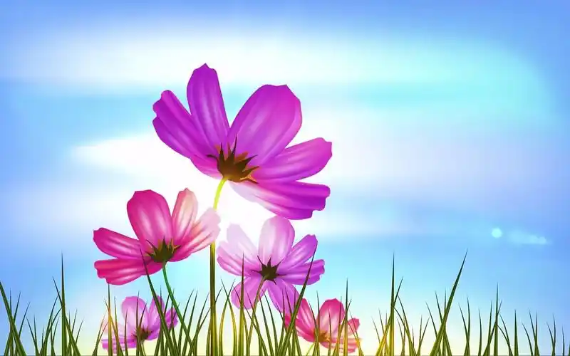 清晨阳光照射花朵唯美视频素材