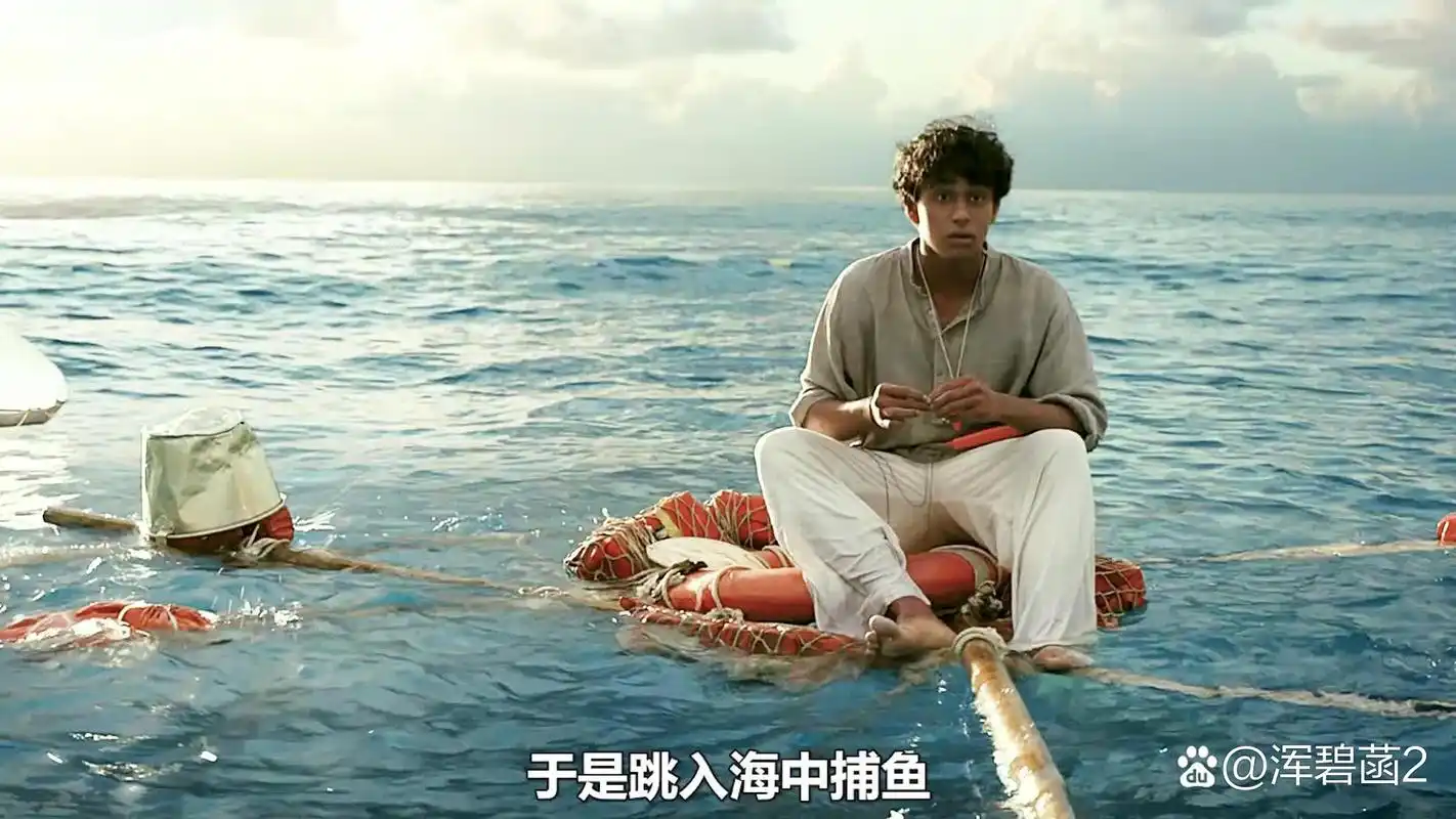 少年派的奇幻漂流男孩和老虎展现了人丑陋的一面