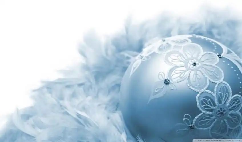 无忧文档 所有分类 经管营销 金融/投资 素雅银白雪