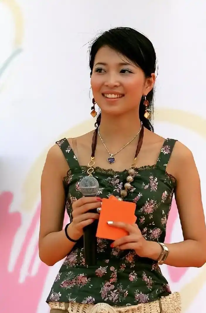 东方卫视主持人麻伊琳,她曾经风光出嫁,离婚后独自抚养儿子长大