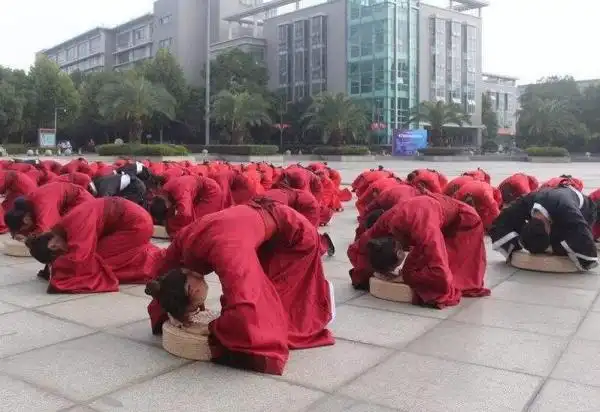 叩首礼是什么意思