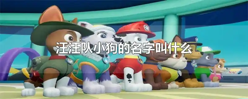 汪汪队小狗的名字叫什么-最新汪汪队小狗的名字叫什么整理解答
