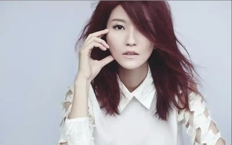 依恋——蔡淳佳