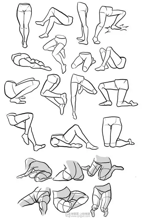 日系厚涂之腿部肌肉的透视关系