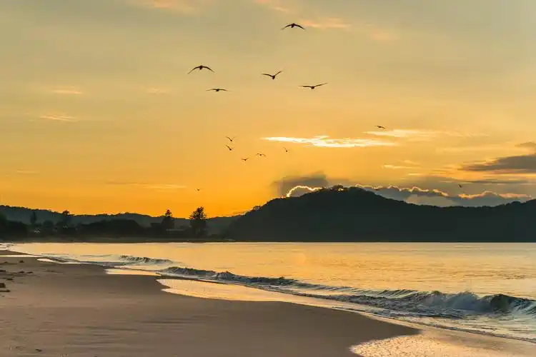 的日出景象在澳大利亚新南威尔士州中部海岸umina海滩举行的日出海景