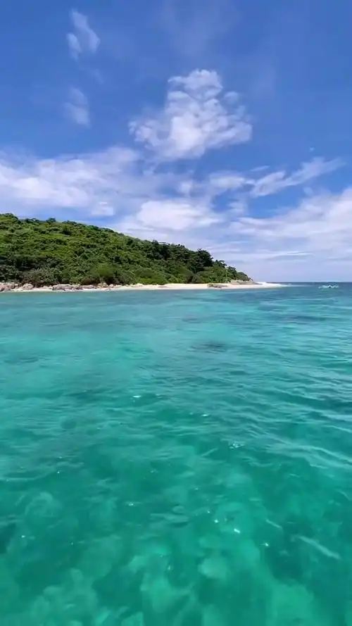 "不用跟我寒暄,直接说,你要干什么"面朝大海 热门 最美海景