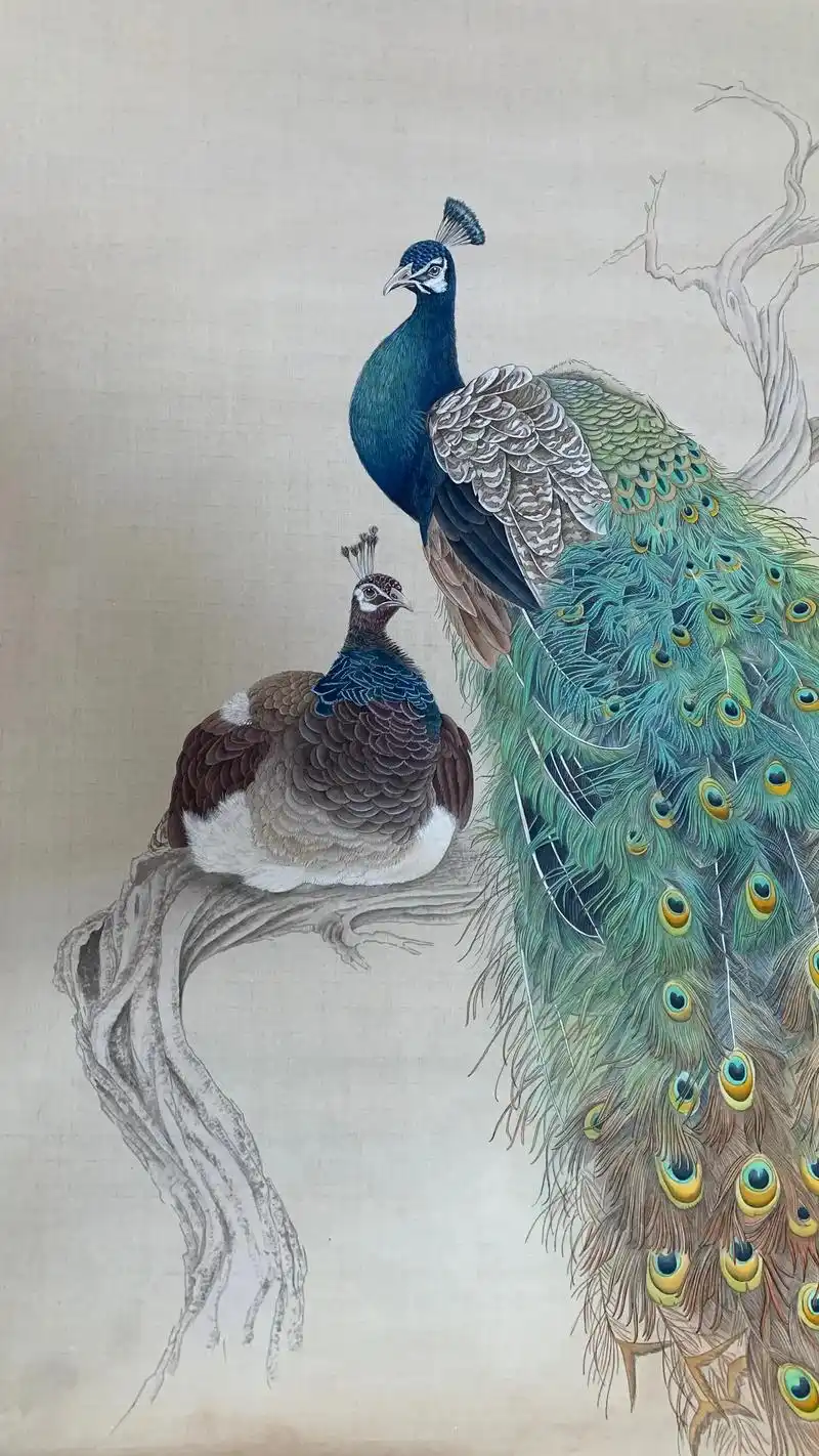 精美工笔孔雀08#手绘国画作品 #纯手绘 #书画交友 #作品 - 抖音