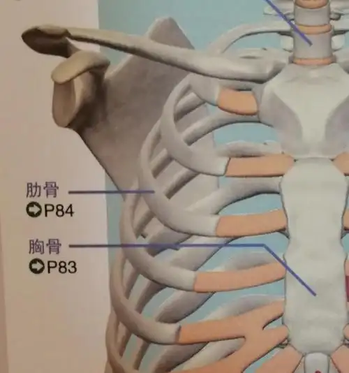 肩胛骨"咔嚓响"的3大原因,这3个动作可以帮您改善