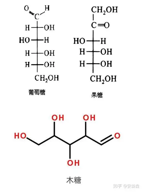 所以根据化学式,日常食用的所有糖类,本质都是一种 "六碳糖"—— 而