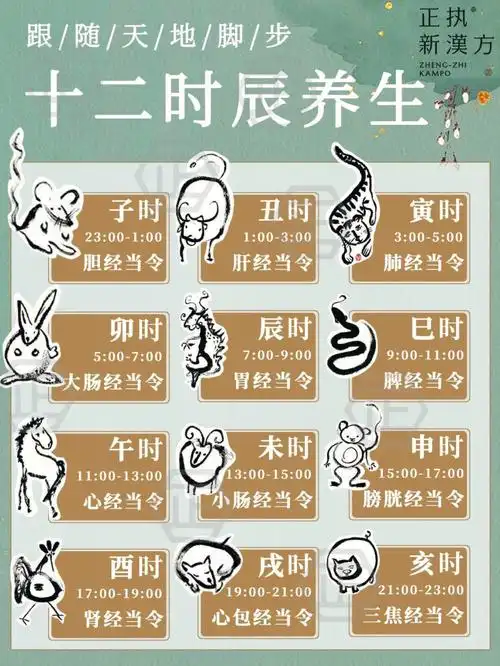 干货12时辰养生表跟着天地节奏来养生