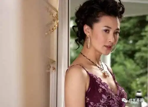 对于王菁华来说,事业没得说就是个人感情有点挫折.