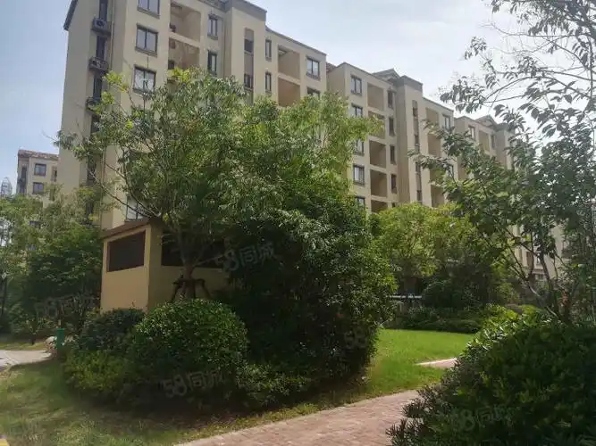 3室2厅1卫 电梯房 高楼层 南北通透,兰博路1455弄_奉贤奉城整租房房源