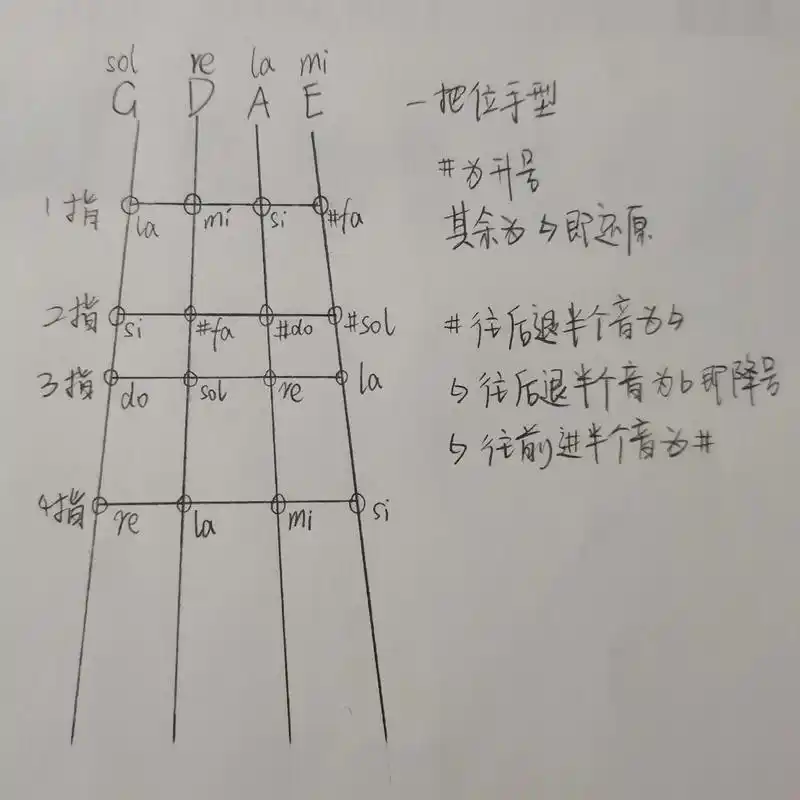 小提琴指法(一把位二把位三把位)#小提琴 #小提琴教学 #小提琴演奏