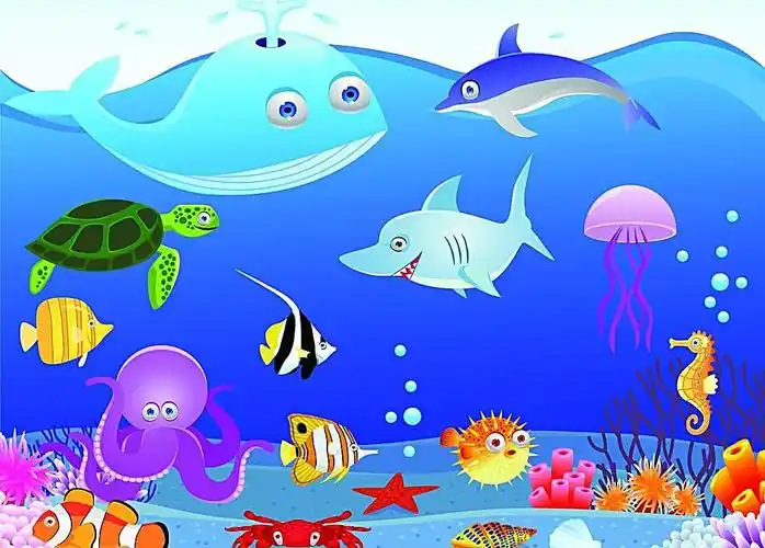 海洋生物 鱼 海底 海星 海底世界 鱼类 海底素材 大海 鱼群 海底世界