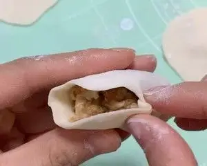 饺子的几种常用包法(附饺子包法,手工饺子皮制作视频)的做法 步骤9