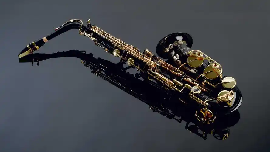 乐器,萨克斯管 壁纸 - 2560x1440 qhd高清