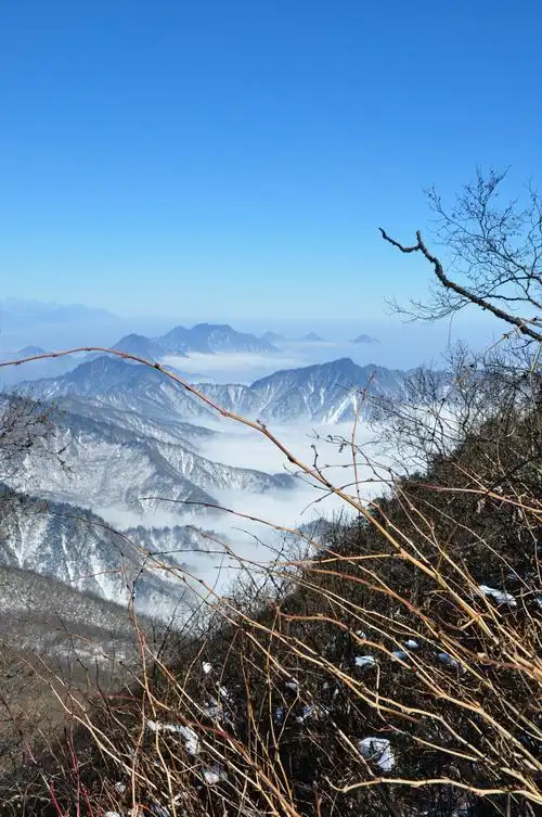 西岭雪山图片294,四川省旅游景点,风景名胜 - 蚂蜂窝图库