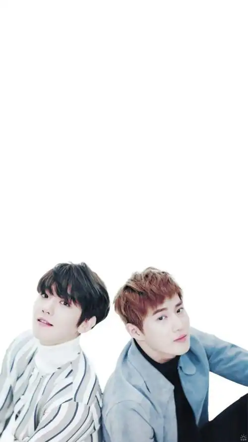 exo 金俊勉 边伯贤 壁纸