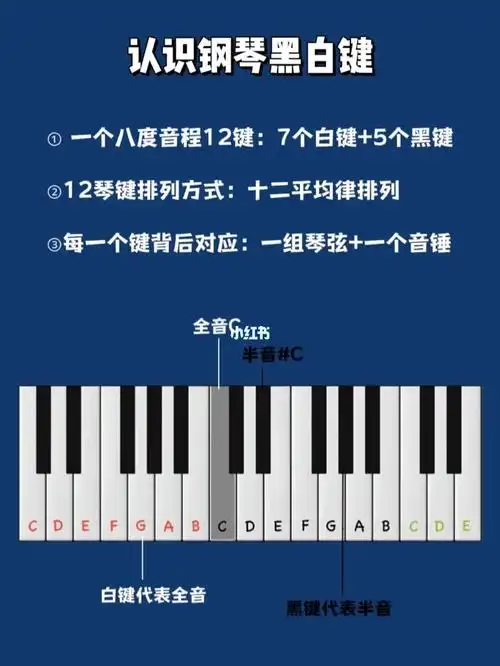 弹了这么久的钢琴钢琴的黑白键代表什么