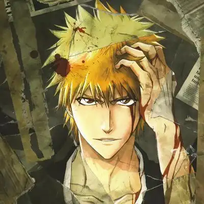 死神黑崎一护集数(死神十年饮冰难凉热血)(3)