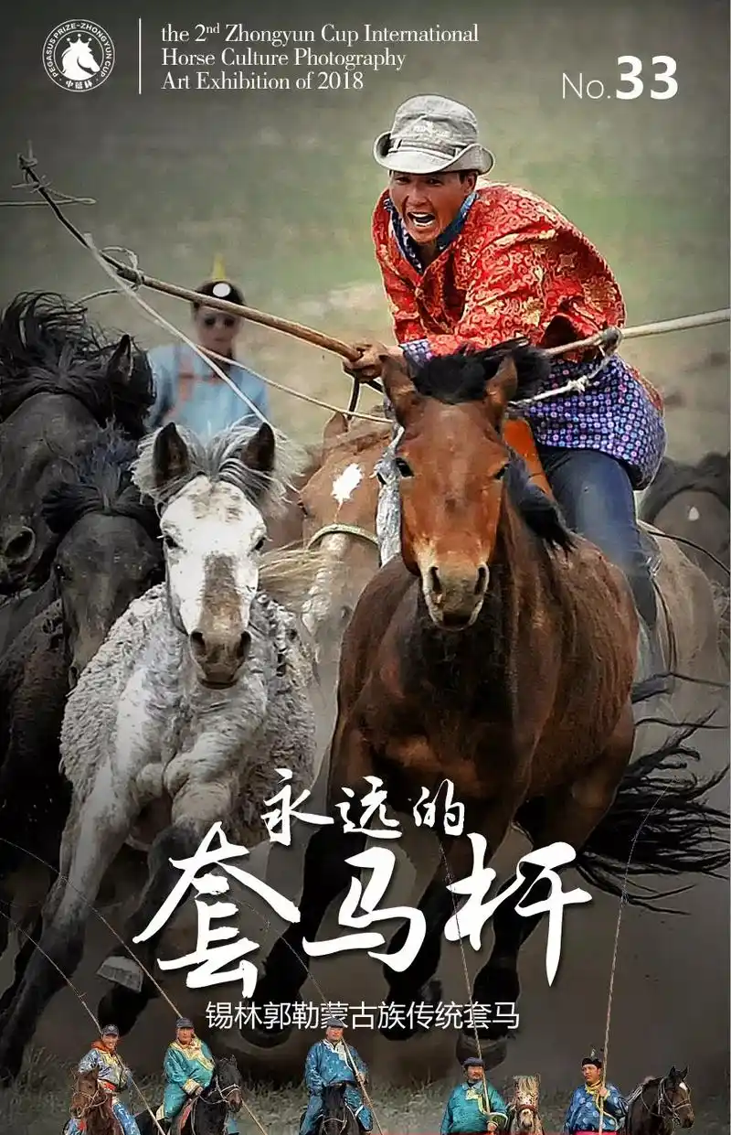 热血奔腾的蒙古族套马--永远的套马杆