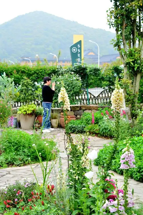 多多花园随手拍江苏无锡锡山区锡北镇新明村梅园里