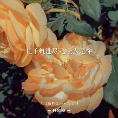 尤长靖《半封情书》歌词 语录 文字 壁纸 锁屏键盘 原创 极简 短句