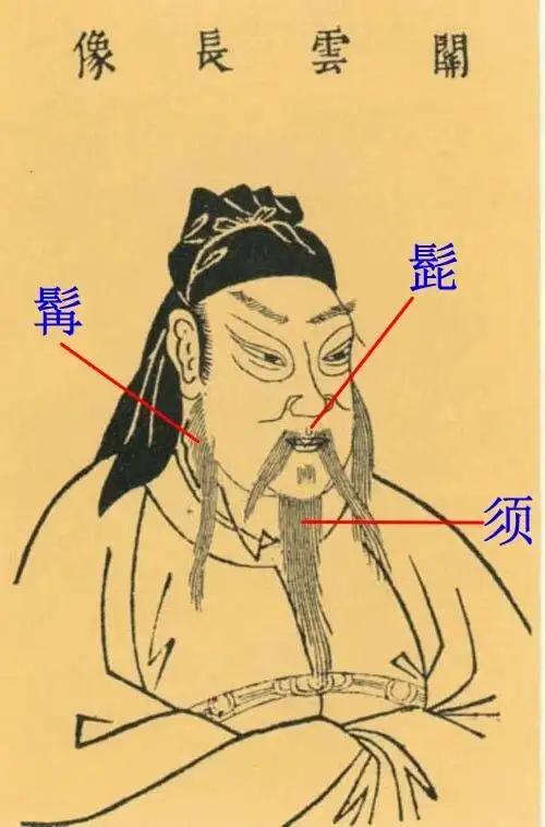 髭,胡,须)由胡须看面相少年一轮眉,老年一林须