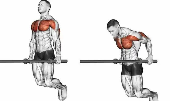 健身中锻炼胸肌最有效的4个动作