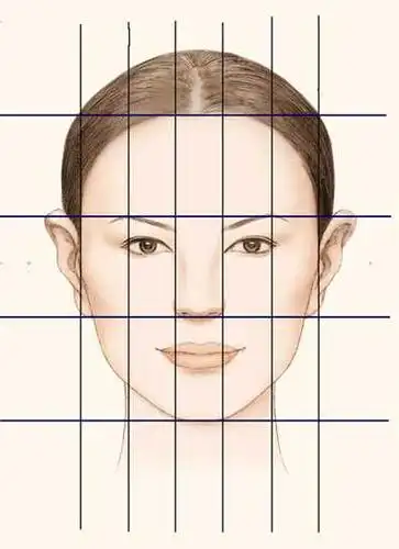 五官比例标准"三庭五眼"
