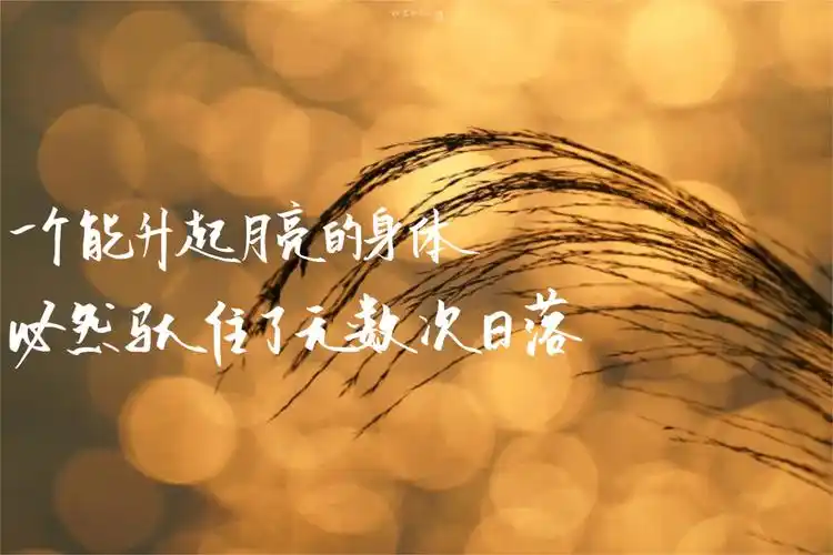 手写励志文案壁纸分享无水印壁纸