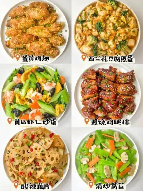 家常荤菜1000道菜谱(家常荤菜1000道菜谱菜菜谱)