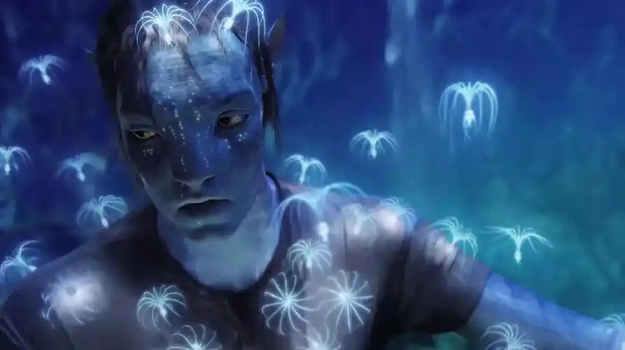 阿凡达1上映时间(第一部阿凡达电影回顾)