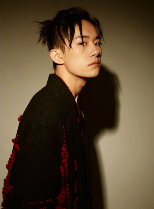 丸子头造型,这是一种不连接的层次结构,内层头发剪短剪薄或铲青