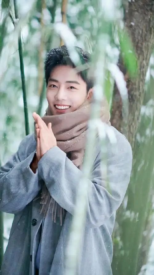 肖战冬至竹林大片