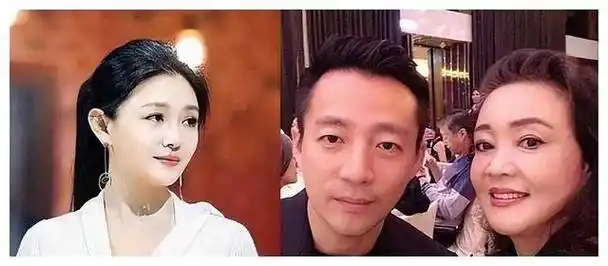 枪指刘涛老公王珂?_人生_经历_婚姻