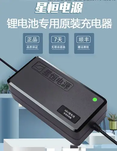 星恒新国标锂电充电器48v12ah20ah24an伏新日爱玛雅迪电动车通用 48伏